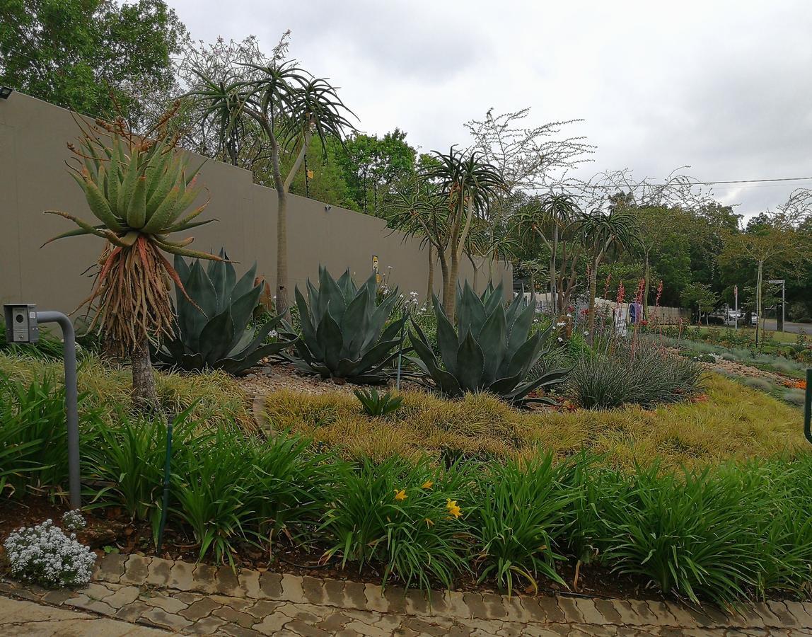 At 98 On Lynburn Guest House Pretoria Exterior photo